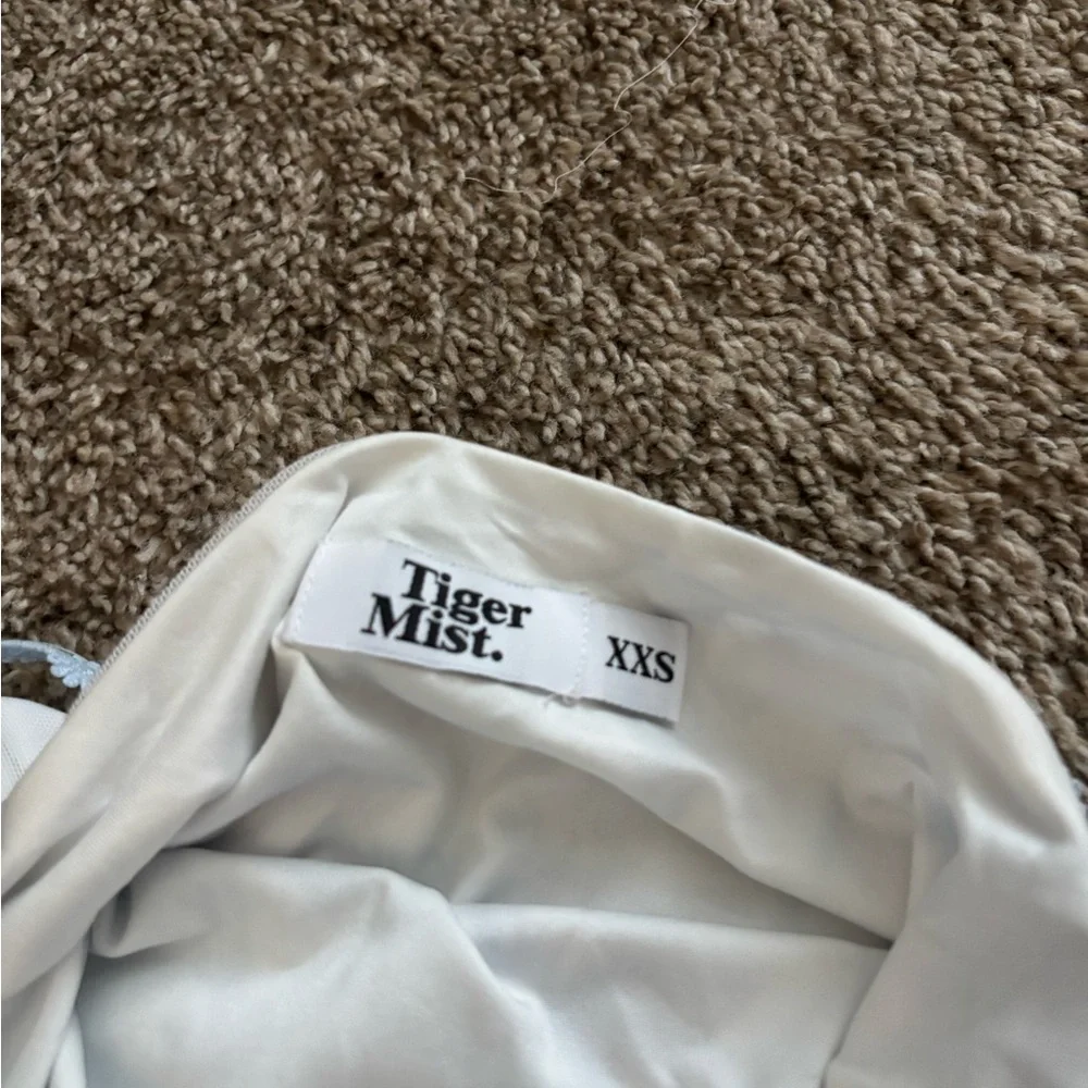 Tiger Mist Blue and White Floral Mini Dress - Picture 6 of 7